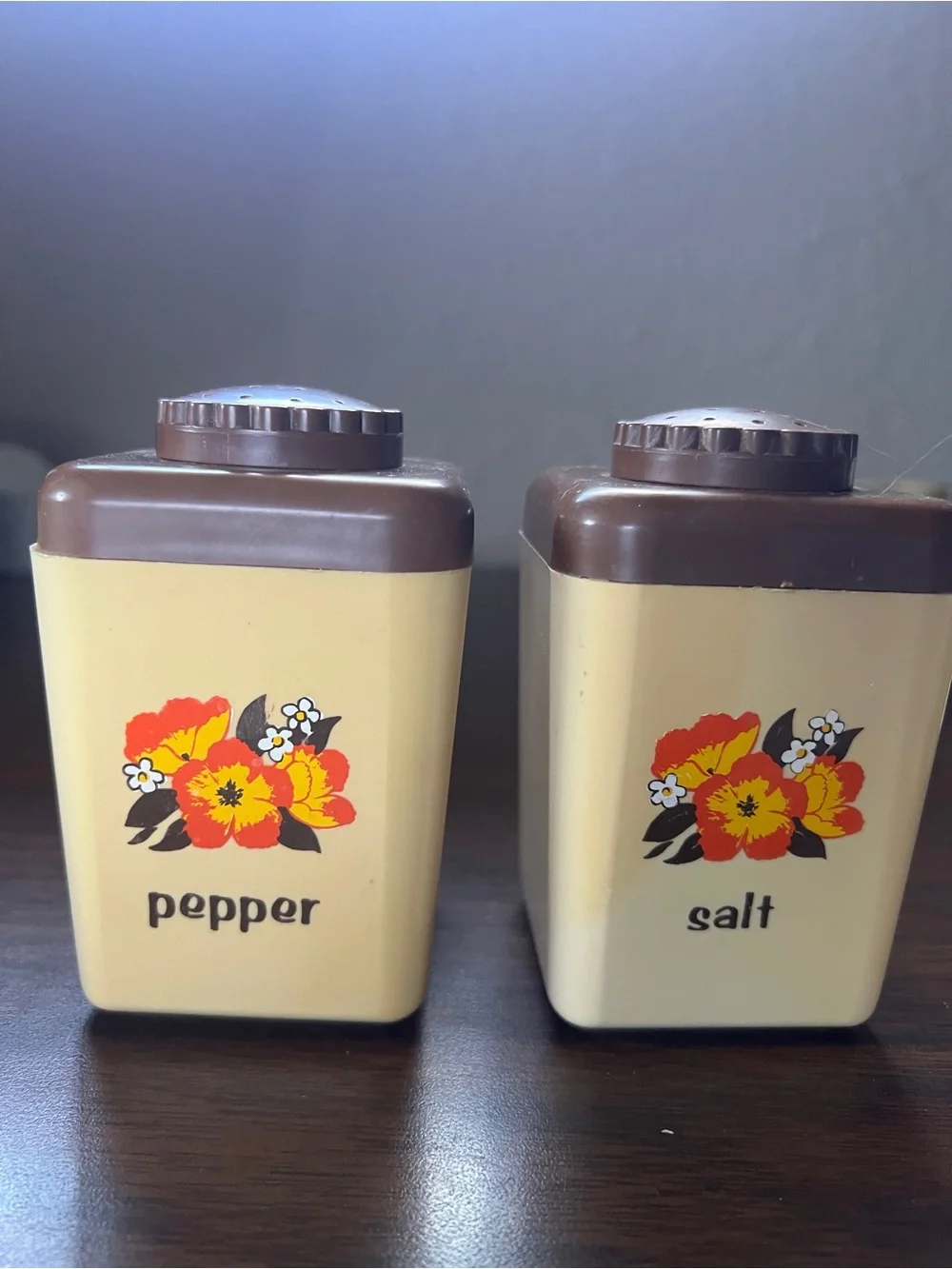 Vintage Large Plastic Salt and Pepper Shakers 60s